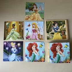Disney prinsessen  blokpuzzel 9 blokken