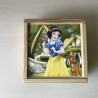 Disney prinsessen  blokpuzzel 9 blokken