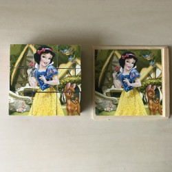 Disney prinsessen  blokpuzzel 9 blokken