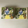 Disney prinsessen  blokpuzzel 9 blokken