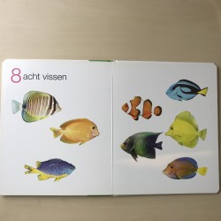 Kijk en leer: Tellen