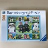 Snoezige hondjes :  500 stukjes