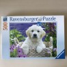 Golden Retriever :  500 stukjes