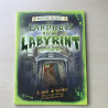 Het landhuis met het labyrint  (wiskunde)