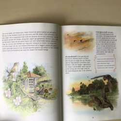 Zomer, een tipje van de sluier