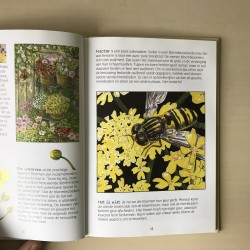 Zomer, een tipje van de sluier