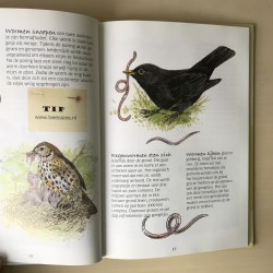 Zomer, een tipje van de sluier