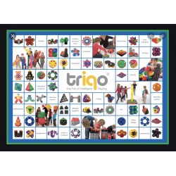 Triqo. Bouwelementen.  80 onderdelen.