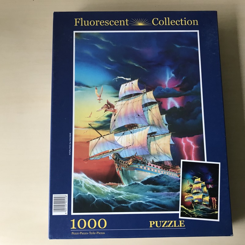 The storm : fluoriserend 1000 stukjes