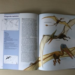 Wat weten we van: Dinosaurussen