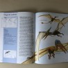 Wat weten we van: Dinosaurussen