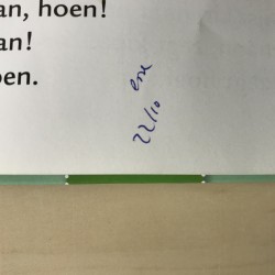 Haan en kip / Haan wil rust. AVI start