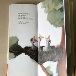 Beesten baby’s. Uitklapboek.