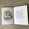 Beatrix Potter: Het verhaal van Pieter Konijn en Benjamin Wollepluis