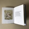 Beatrix Potter: Het verhaal van Pieter Konijn en Benjamin Wollepluis